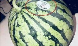 渭南网红吃瓜,揭秘网络红人的幕后故事